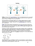 Asexual Reproduction Jigsaw Activity