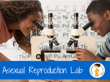 Preview of Asexual Reproduction Lab