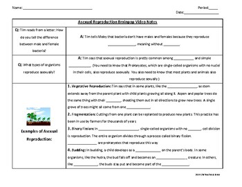 Brainpop Worksheets Teaching Resources Teachers Pay Teachers