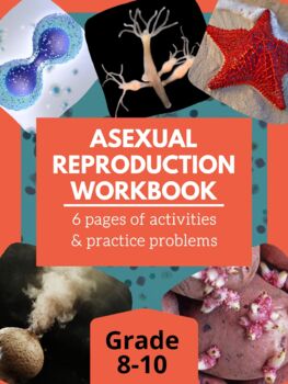 Preview of Asexual Reproduction Workbook | Answer Key | Distance Learning | STEM