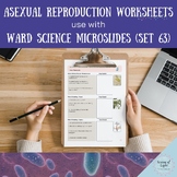 Asexual Reproduction Worksheets for Ward Science Microslid