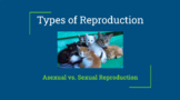 Asexual & Sexual Reproduction Presentation