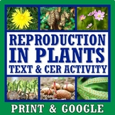 Asexual Sexual and Specialized Structures for Plant Reprod