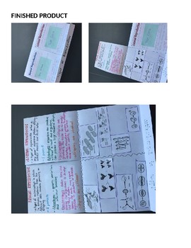 Preview of Asexual and Sexual Reproduction Foldable