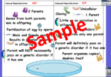 Asexual and Sexual Reproduction Review Flipchart