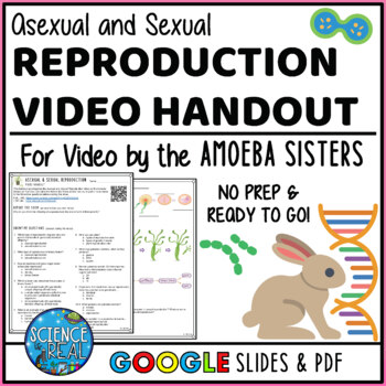 Preview of Asexual and Sexual Reproduction Amoeba Sisters Video Handout
