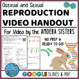 Asexual and Sexual Reproduction Amoeba Sisters Video Handout