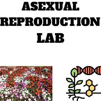 Preview of Genetics Asexual reproduction  growing a plant Middle School Science