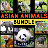 Asian Animals Articles, Nonfiction Animal Research & Compr