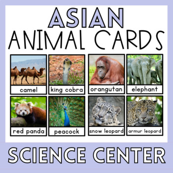 Preview of Asian Animals Montessori Preschool Science Center Activities