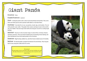 Preview of Asian Animals information posters