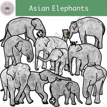Preview of Asian Elephants Clipart Set