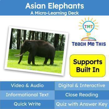 Preview of Asian Elephants Informational Text Reading Passage and Activities