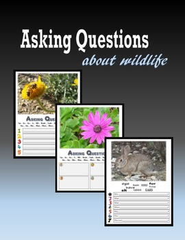 Preview of Asking Questions about Wildlife