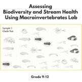 Assessing Biodiversity and Stream Health Using Macroinvert