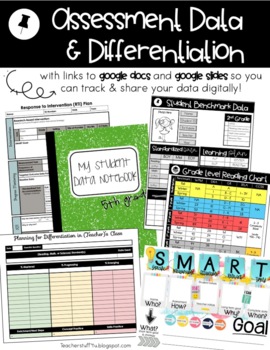 Preview of Assessment Data & Differentiation