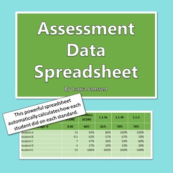Preview of Assessment Data Spreadsheet