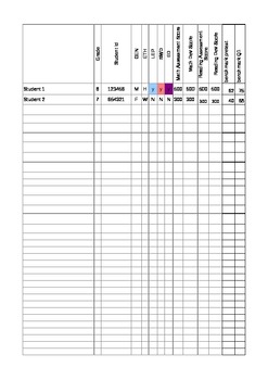 Preview of Assessment Data Tracking Sheet