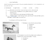 Assessment: Horse Breeds, Types, and Classifications