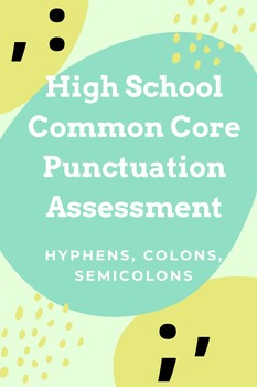 Preview of Assessment: Hyphens, Colons, Semicolons