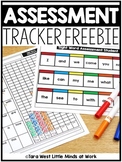 Assessment Mat & Tracker FREE + EDITABLE