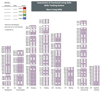 Preview of Assessment for Functional Living Skills (AFLS) Scoring Sheet and Tool