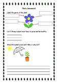 Assessment for the plants science topic