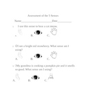 Assessment of the 5 senses