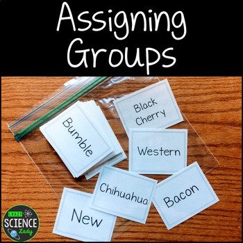 Preview of Assigning Groups Freebie