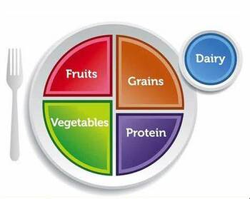 Preview of Athlete Based Nutrition Outline/Guide