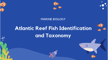 Preview of Atlantic Reef Fish Identification Presentation - *EDITABLE*