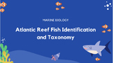 Atlantic Reef Fish Identification Presentation - *EDITABLE*