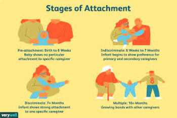 Preview of Attachment and Bonding in Children