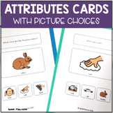Attributes for Speech Therapy | Describing Objects | Autis