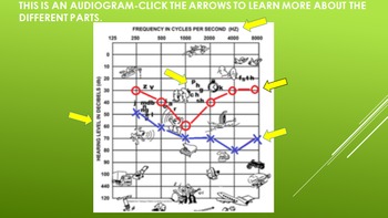 Preview of How to Read an Audiogram Introduction PPT