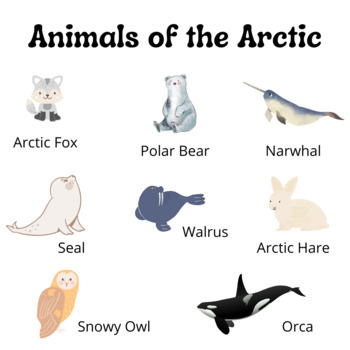 Auditory Skills: Arctic Animals! by Ms Emilie | Teachers Pay Teachers