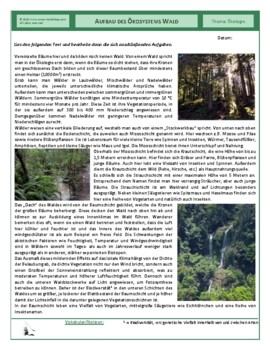 Preview of Aufbau des Ökosystems Wald