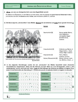 Preview of Aufbau des Ökosystems Wald - Lösung
