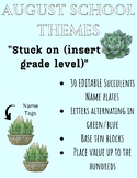 August Succulent Classroom Theme