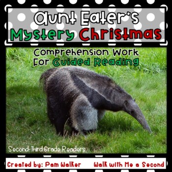 Preview of Aunt Eater's Mystery Christmas A Book Companion for Comprehension
