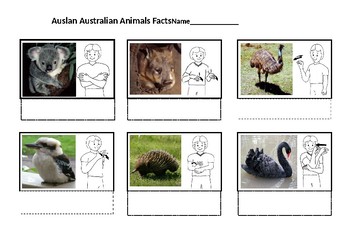 bestille smuk Pilgrim Auslan Australian Animals Facts by Carmela GRECO | TpT
