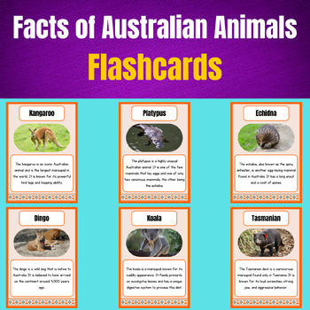 Preview of Aussie Outback Encounters: Australian Animals Fact Flashcards.