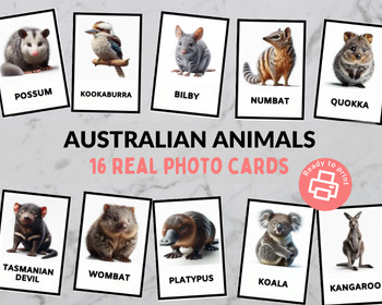 Preview of Australia Animal Flashcards & Montessori Three Part Cards