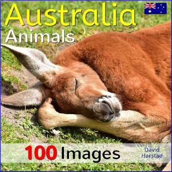 Preview of Australian Animals
