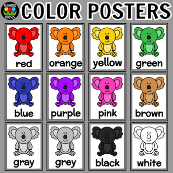 Preview of Australia Koala Color Identification Posters