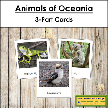 Animals of Australia/Oceania 3-Part Cards - Continent Cards | TPT