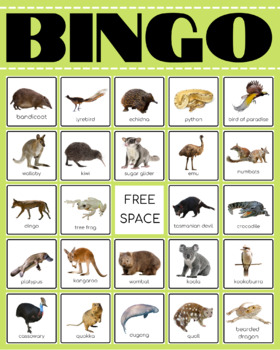 Animals Bingo Worksheets & Teaching | TpT