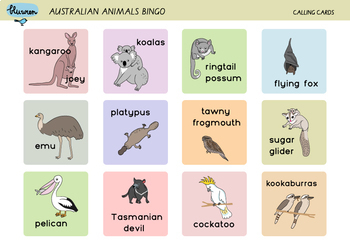 Merchandising Overgivelse Krigsfanger Australian Animal Bingo by Bluwren | Teachers Pay Teachers