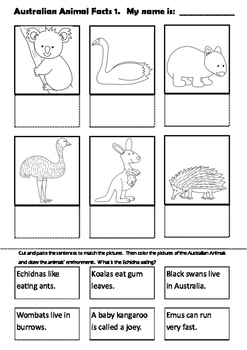 Australian Animal Facts Cut and Paste Activities No Prep by Paper Printcess