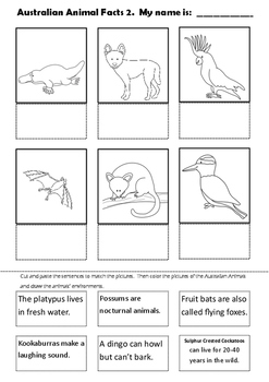 Australian Animal Facts Cut and Paste Activities No Prep by Paper Printcess